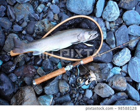 I took a picture of a 40cm over char that I caught with a lure lying on the river bed. I took a picture of a 40cm over char that I caught with a lure lying on the river bed. 98588128