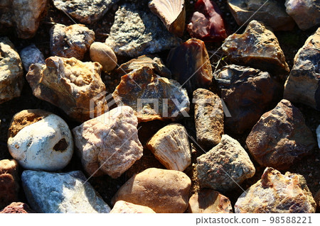 Various stones collected on sand pit, rockhounding Various stones collected on sand pit, rockhounding 98588221