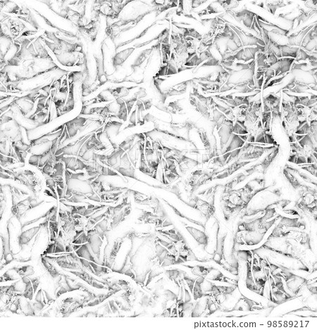 Microbes and various microorganisms under strong microscope magnification.Texture or background Microbes and various microorganisms under strong microscope magnification.Texture or background 98589217