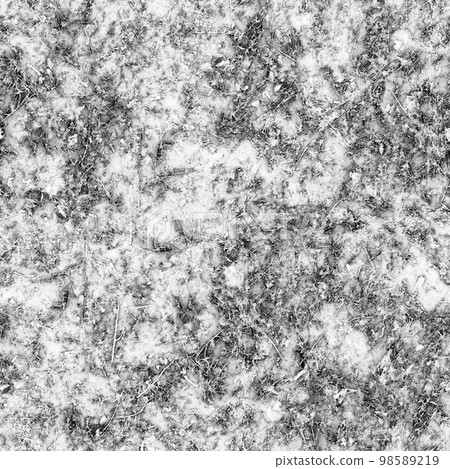 Bacteria and various microorganisms under strong microscope magnification 98589219