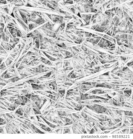 Bacteria causing human disease under a strong magnification of the microscope 98589221