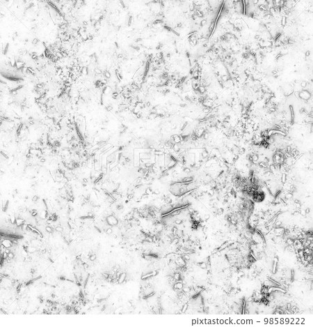 Microorganisms and various bacteria causing human disease under strong microscope magnification Microorganisms and various bacteria causing human disease under strong microscope magnification 98589222