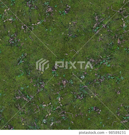The ground is covered with green moss and small sticks .Texture or background 98589231