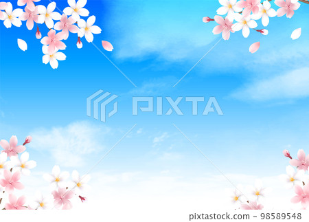 櫻花春天藍天背景 櫻花春天藍天背景 98589548