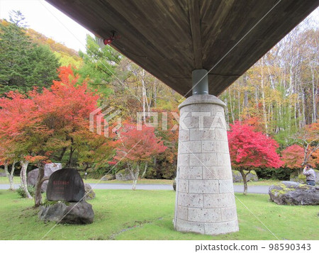 hotel garden 98590343