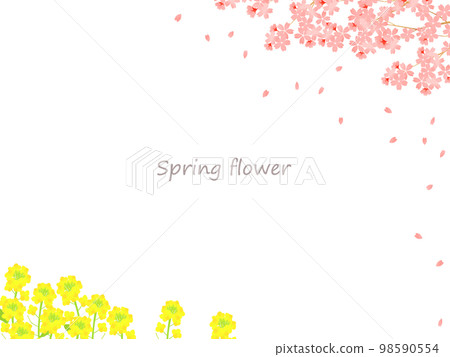 Spring flower frame background illustration with beautiful cherry blossoms and rape blossoms 98590554
