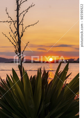 黃昏的天空 98590922