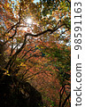 Autumn leaves trekking/climbing 98591163