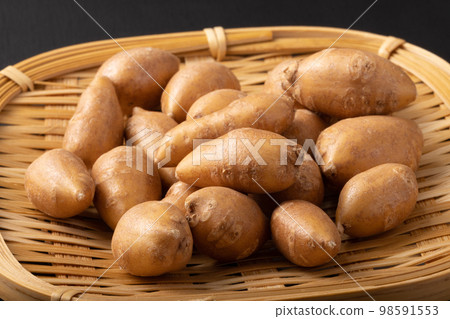 Apios Apios 98591553