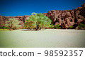 Panorama inside canyon aka Guelta d'Archei in East Ennedi, Chad 98592357
