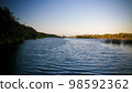 Landscape of the channel between Rasoabe and Ranomainty Lakes,Toamasina Province, Madagascar 98592362