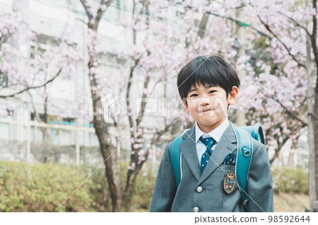 Elementary school students walking along a row of cherry blossom trees 98592644
