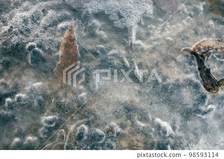 A dead leaf trapped in ice 98593114