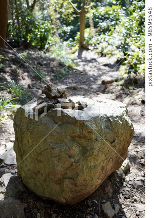 岩石上的鵝卵石 岩石上的鵝卵石 98593548