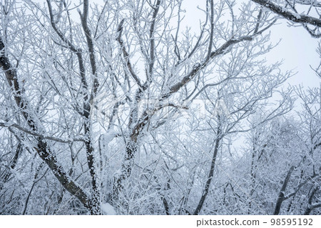 Deogyusan Deogyusan 98595192