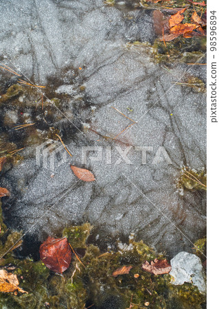 池塘冰面 98596894