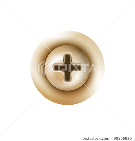 Realistic Screw Head Realistic Screw Head 98596920
