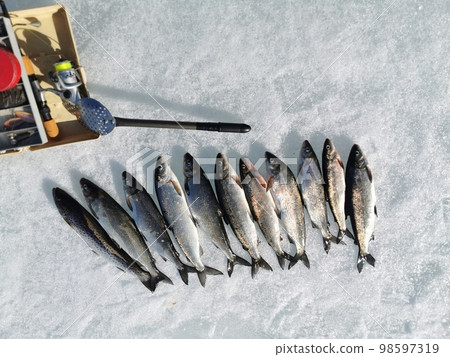 90+ Winter Sea Fishing Stock Photos, Pictures & Royalty-Free