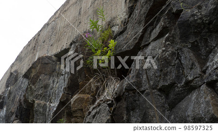 Battlefields, swedish naval base, North of Sweden Battlefields, swedish naval base, North of Sweden 98597325