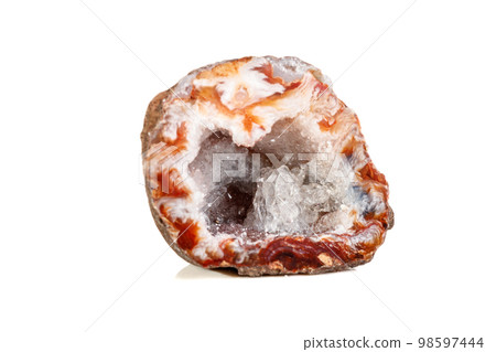 Macro mineral stone agate kidney gerbera 98597444