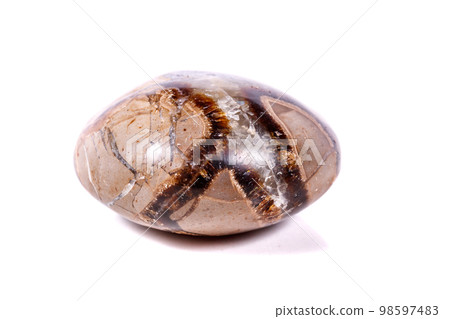Macro mineral stone Simbirzit and Septaria on white background 98597483