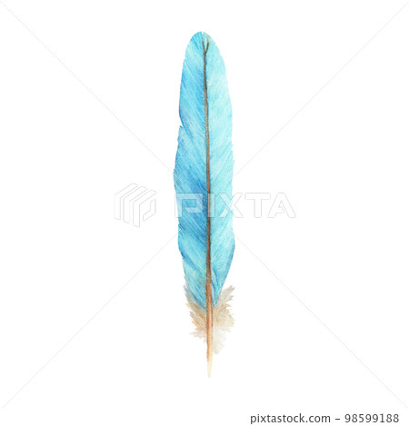 Vibrant feather. Bird feather. Boho style wings. Watercolor illustration.  98599188