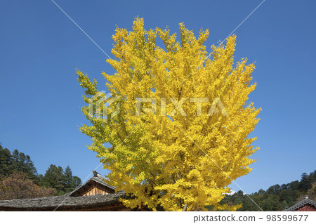 百潭寺、百潭溪谷 98599677