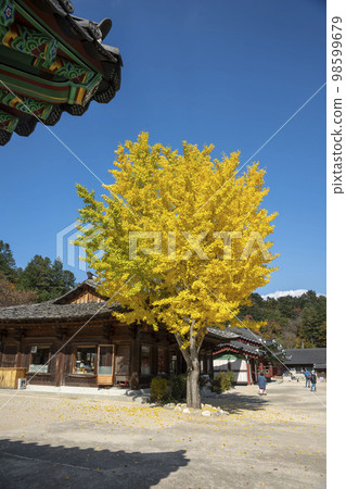 百潭寺、百潭溪谷 百潭寺、百潭溪谷 98599679