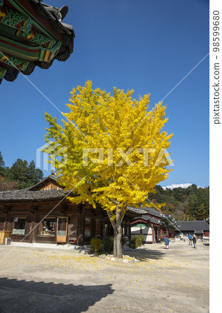 Baekdamsa Temple, Baekdam Valley Baekdamsa Temple, Baekdam Valley 98599680