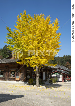 百潭寺、百潭溪谷 98599682