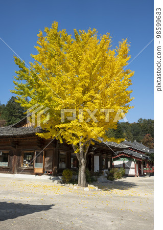 百潭寺、百潭溪谷 98599683