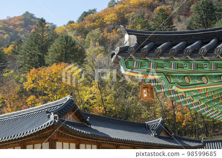 百潭寺、百潭溪谷 98599685