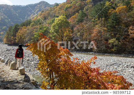 百潭寺、百潭溪谷 98599712