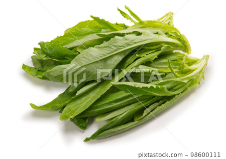 Chinese vegetables, Yuma-sai 98600111