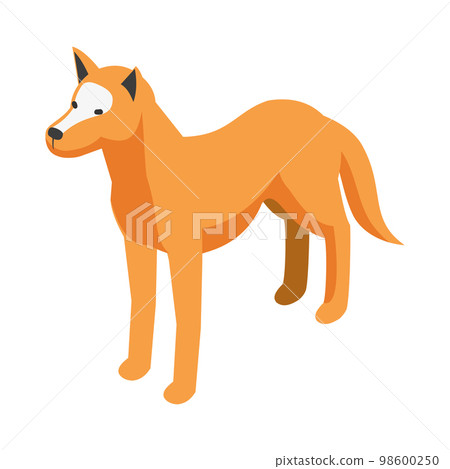 Isometric Dingo Illustration Isometric Dingo Illustration 98600250