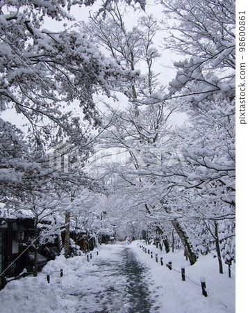 大原三千院路上的京都雪景 大原三千院路上的京都雪景 98600861