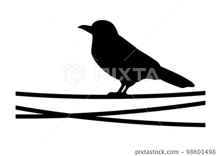 silhouette of a crow on a wire - Stock Illustration [98601498] - PIXTA