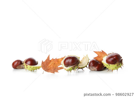 Fresh and ripe chestnuts, isolated on white background Fresh and ripe chestnuts, isolated on white background 98602927