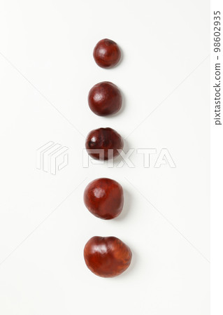 Fresh and ripe chestnuts, top view, Autumn chestnuts 98602935