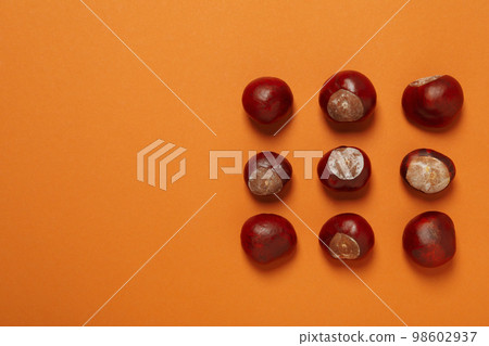 Fresh and ripe chestnuts, space for text Fresh and ripe chestnuts, space for text 98602937
