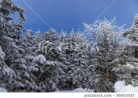 Mt.Asama Snow Hike Mt.Asama Snow Hike 98603085