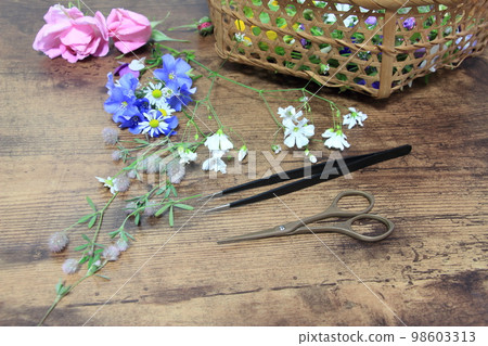 Flower play Pressed flower making 98603313
