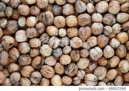 Walnuts - autumn fruits Walnuts - autumn fruits 98603366