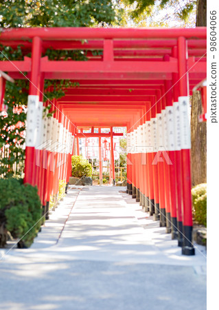 Torii at Narumi Shrine, Nagoya City, Aichi Prefecture Torii at Narumi Shrine, Nagoya City, Aichi Prefecture 98604066