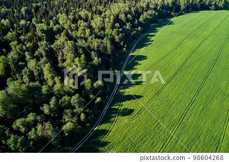 View from a high altitude of an agricultural field and dense forest 98604268