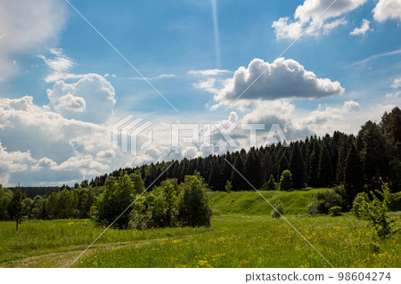 Beautiful blue sky with passing clouds over a bright green landscape Beautiful blue sky with passing clouds over a bright green landscape 98604274