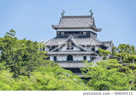 Matsue City, Shimane Prefecture, a national treasure of fine weather, Matsue Castle 98604515