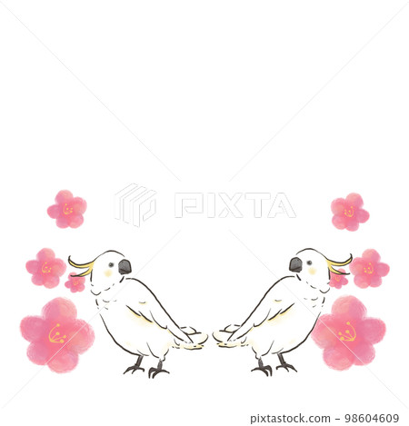 Sulphur-crested cockatoo and plum blossom ① 98604609