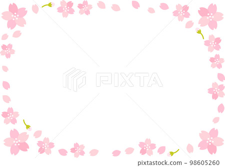春天的櫻花 (sakura) 盛開框架 春天的櫻花 (sakura) 盛開框架 98605260