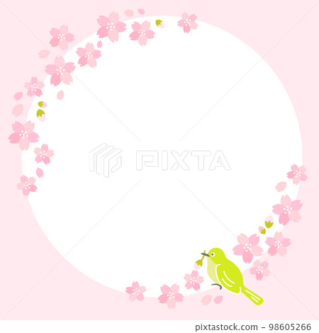 Spring Cherry Blossom (Sakura) White-eye Sakurafubuki Spring Cherry Blossom (Sakura) White-eye Sakurafubuki 98605266